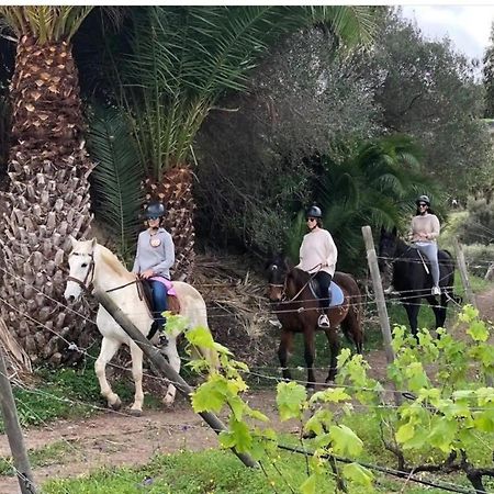 El Batan Resort Santa Brígida Eksteriør billede