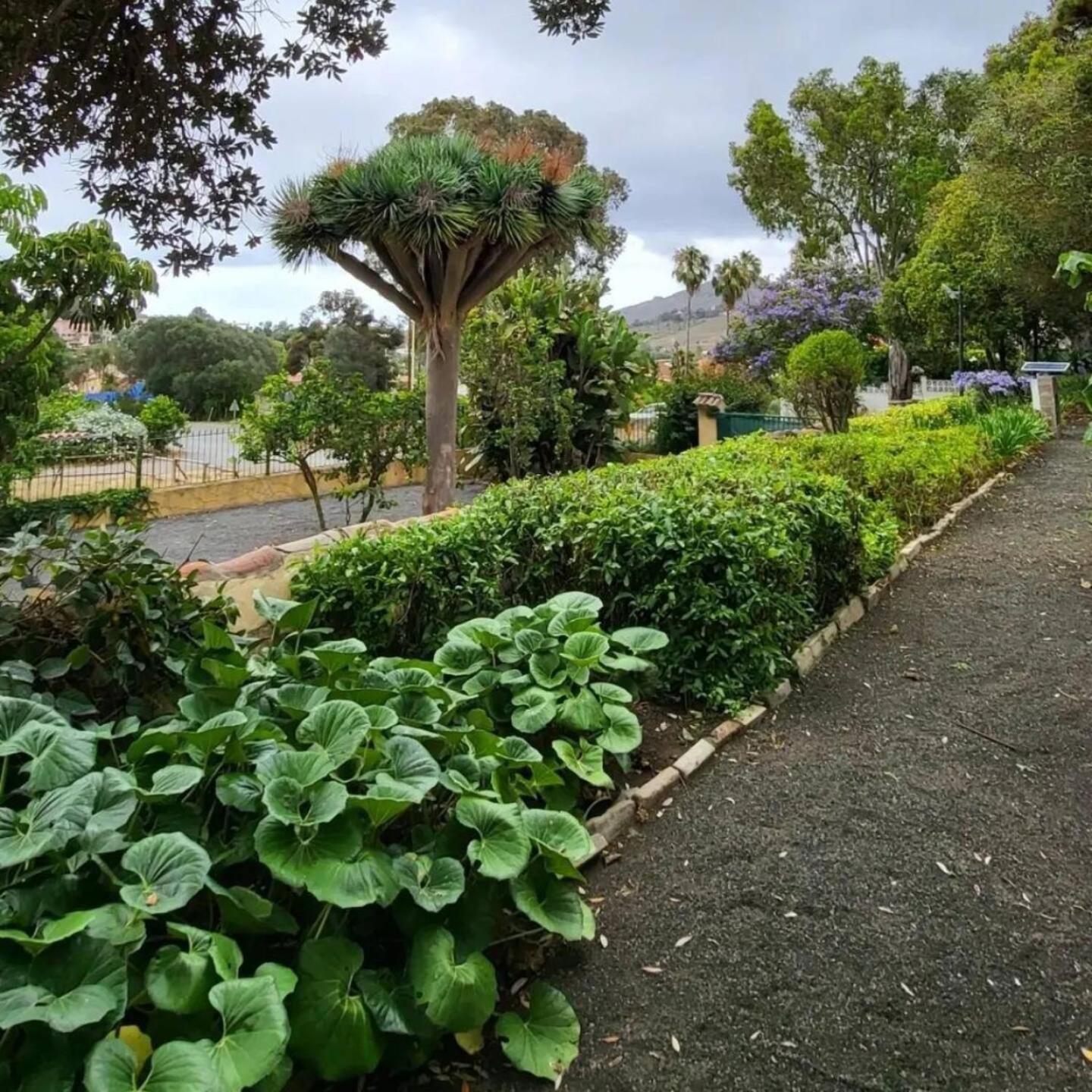 El Batan Resort Santa Brígida Eksteriør billede